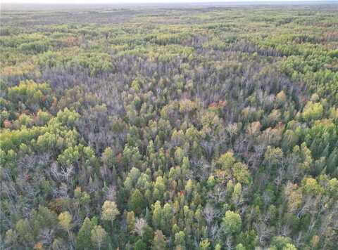Tbd US-71, Big Falls, MN 56627