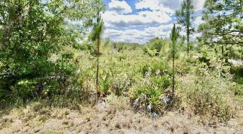 3362 Rhododendron Road, Lake Placid, FL 33852