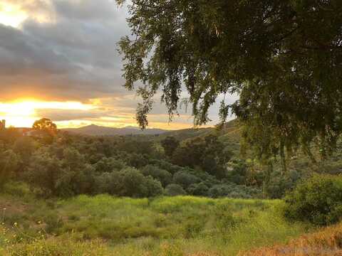 2959 Vista De La Rosa, Jamul, CA 91935