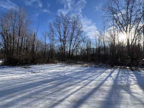 61 Rolling Hills, West Branch, MI 48661