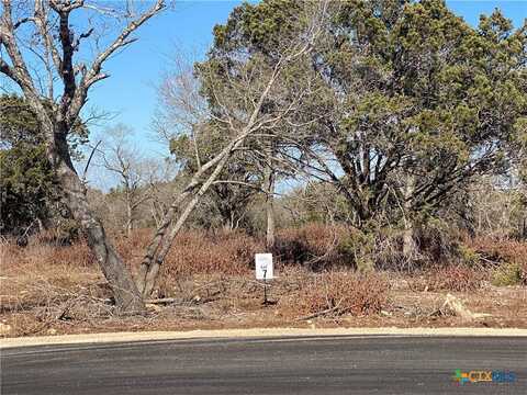 Lot 7 Sawtooth Drive, Bertram, TX 78605