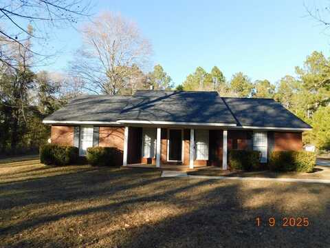 13928 Highway 93, Baconton, GA 31716