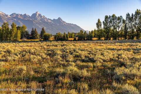 Tbd HUCKLEBERRY Drive, Jackson, WY 83001