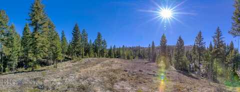 Bear Gulch, DRUMMOND, MT 59832