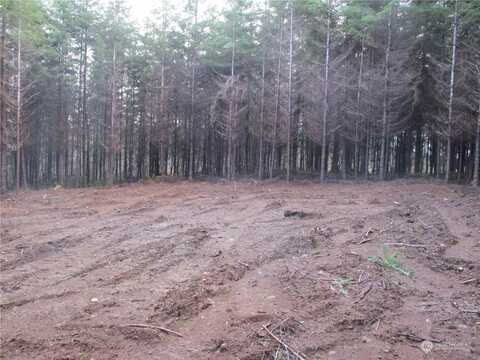 Beaver Hill, MONTESANO, WA 98563