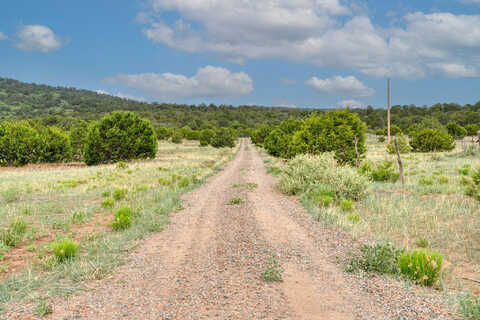 Brannan, TIJERAS, NM 87059