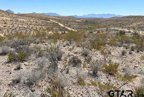 Blue Ridge #24311 Blue Ridge, Terlingua, TX 79852