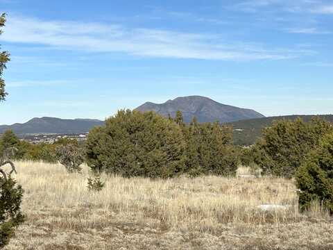 Cougar, TIJERAS, NM 87059