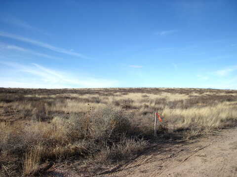 Mesa Road, Moriarty, NM 87035