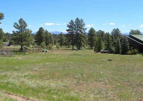 Trails, PAGOSA SPRINGS, CO 81147