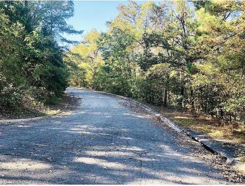 Lot 10 Norfork Drive, Maumelle, AR 72113