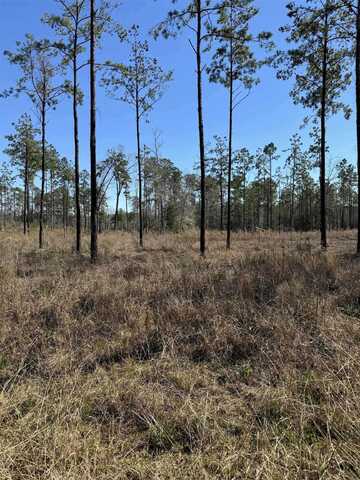 Private Road 6026, Brookeland, TX 75931