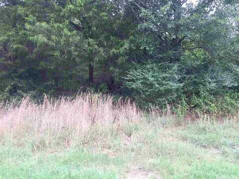 Jerry Lane Lot 5, Judsonia, AR 72081