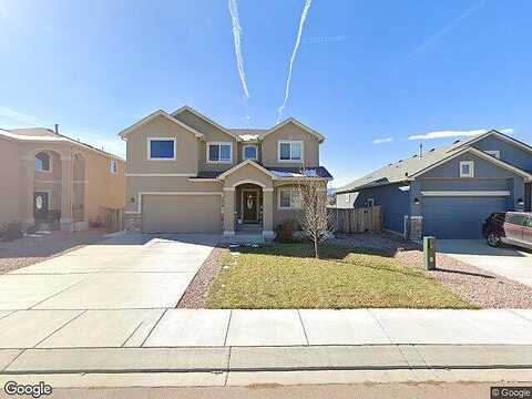 Bigtooth Maple, COLORADO SPRINGS, CO 80925