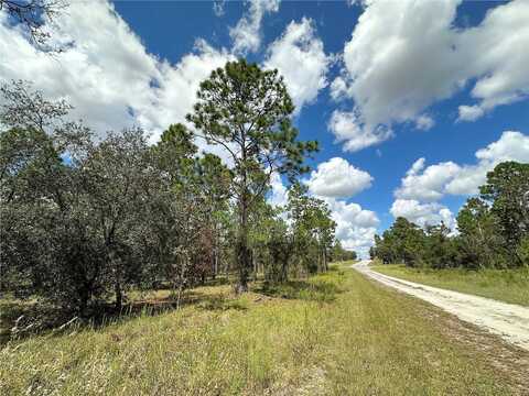 Tbd Se 134Th Court, Dunnellon, FL 34431