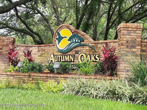 Winding Oaks Boulevard, Hudson, FL 34669