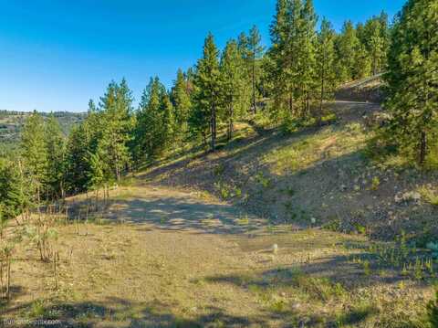 Nka Lot 2 Chukar Ln, Davenport, WA 99122