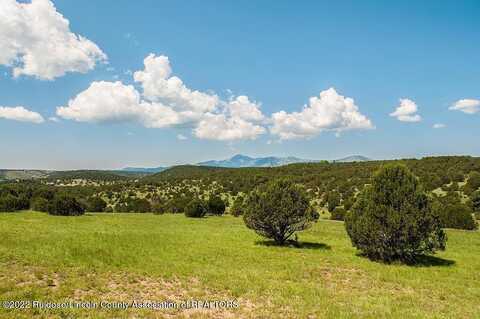 Lot 8 Rainmaker Drive, Alto, NM 88312