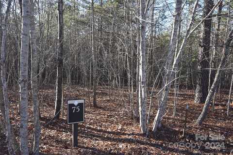 Lot 75 Tayberry Drive, Nebo, NC 28761