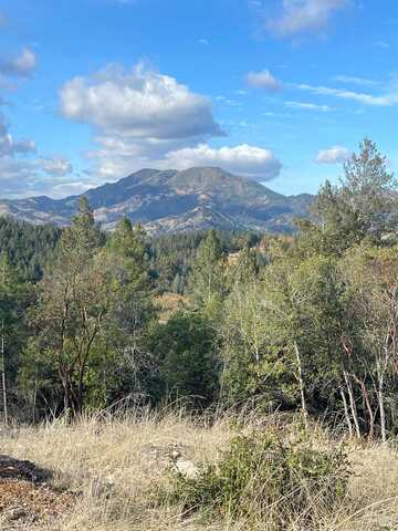 Diamond Mountain Road, Calistoga, CA 94515