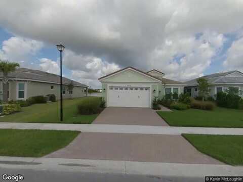 Buttonbush, LOXAHATCHEE, FL 33470