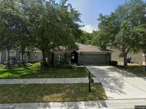 Sweet William, LAND O LAKES, FL 34639