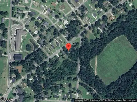 Camellia, PEMBROKE, GA 31321
