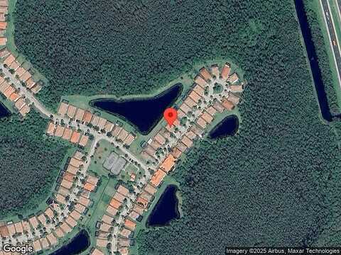 River Otter, FORT MYERS, FL 33912