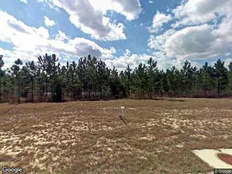 Diamond, LAKE PARK, GA 31636