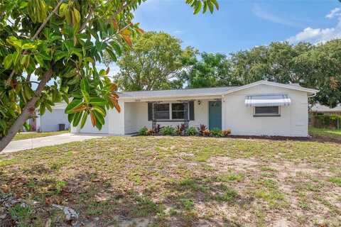 Neva, PORT RICHEY, FL 34668