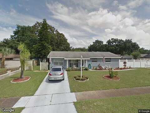 Runningwoods, TAMPA, FL 33634