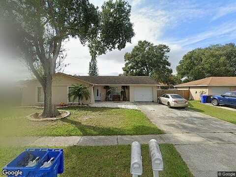 Spanish Moss, TAMPA, FL 33625