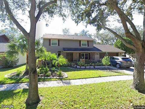 Landscape, TAMPA, FL 33624