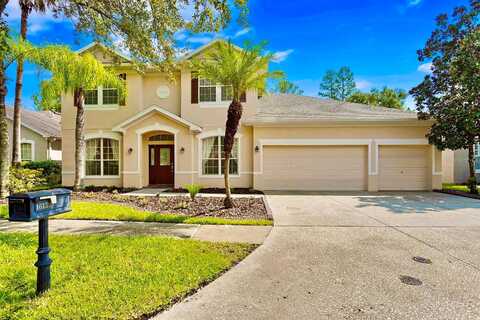 Colchester Palms, TAMPA, FL 33647