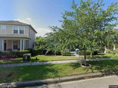 Southern Red Maple, ORLANDO, FL 32828