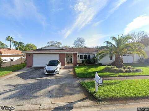 Forest, SAFETY HARBOR, FL 34695