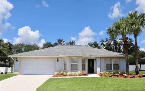 Moshie, SAN ANTONIO, FL 33576