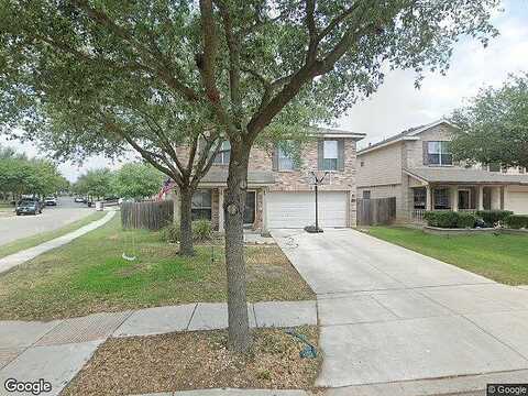 Palomino, SAN ANTONIO, TX 78254
