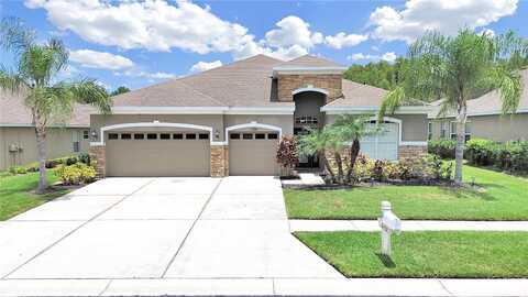 Holcomb, WESLEY CHAPEL, FL 33543