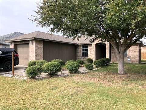 Calle San Lucas, CORPUS CHRISTI, TX 78417