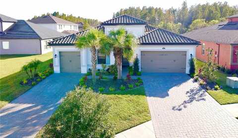 Bourneville, WESLEY CHAPEL, FL 33543