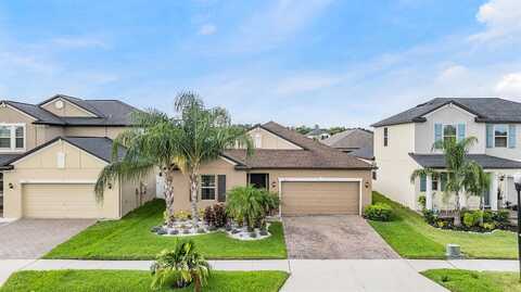 Satin Lily, RIVERVIEW, FL 33579