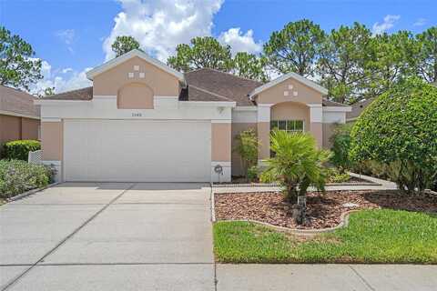 Cannonade, WESLEY CHAPEL, FL 33544