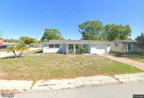 Betula, NEW PORT RICHEY, FL 34653