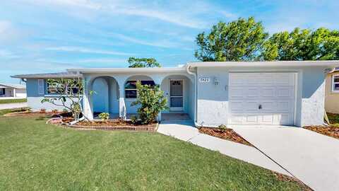 Betula, NEW PORT RICHEY, FL 34653