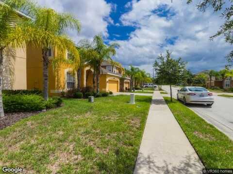 Orange Cosmos, DAVENPORT, FL 33837