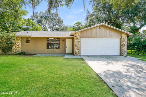 Needle Palm, EDGEWATER, FL 32141