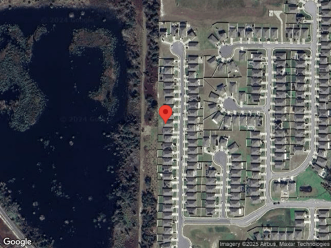 American Holly, DEBARY, FL 32713