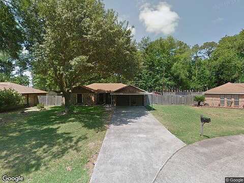 Hackberry, HIGHLANDS, TX 77562