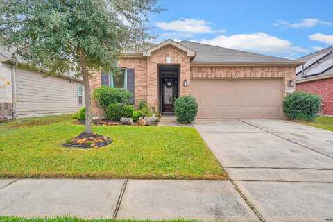 Cedar Pine, HOUSTON, TX 77068
